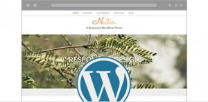 Gazduire de mare viteza Wordpress